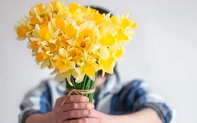 Flores amarillas, ¿por qué se regalan en septiembre?