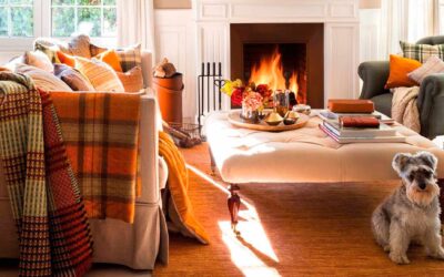 Dale vida otoñal a tu hogar