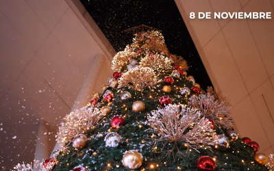 Una Navidad Encantada en Via Alta Salamanca